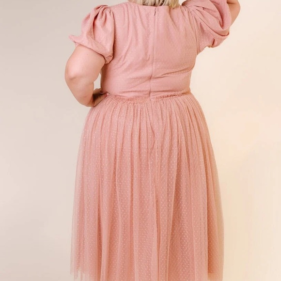 NWT Ivy City Co Dress Small - Picture 6 of 6